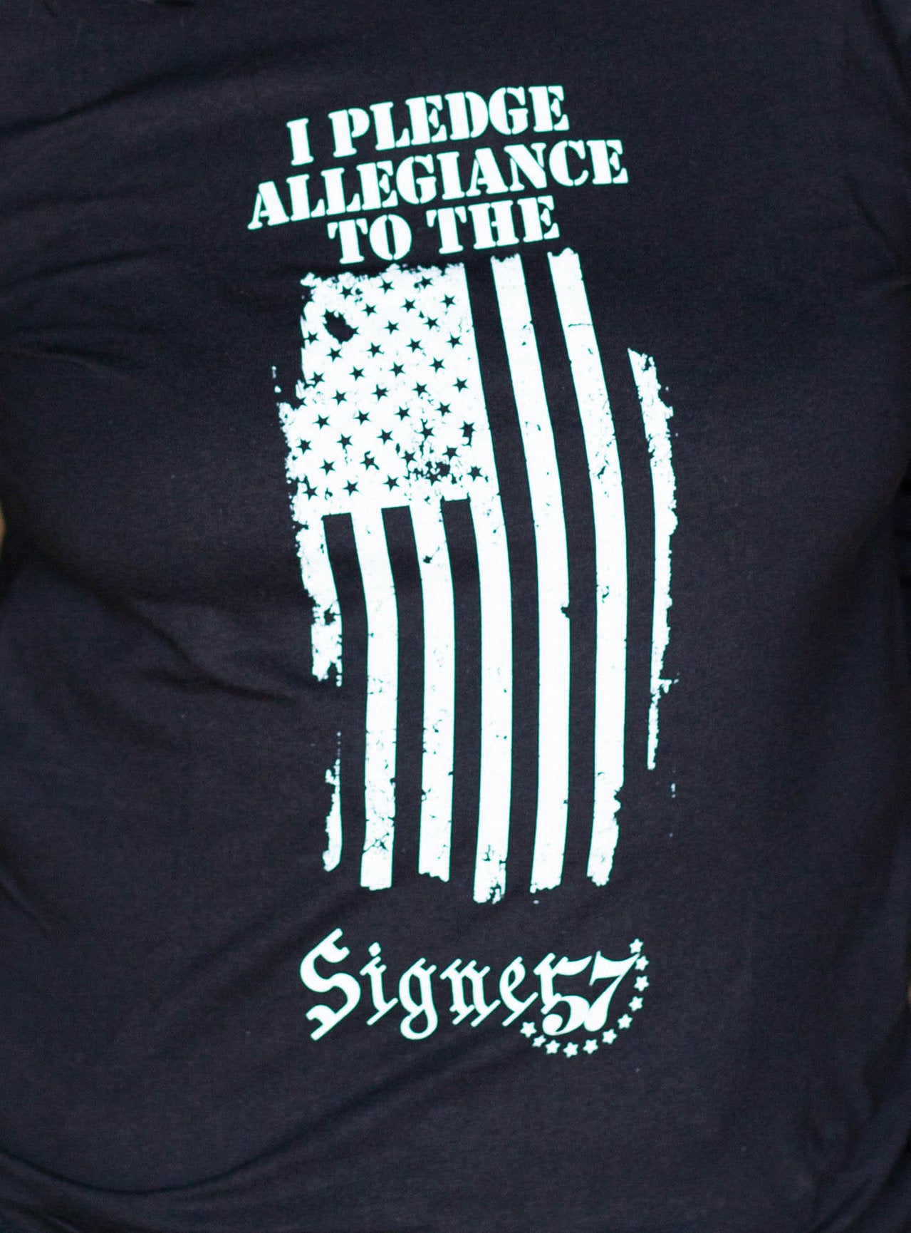 UNISEX Long Sleeve Shirt - I Pledge Allegiance
